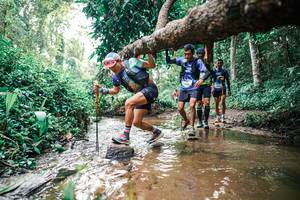 BIB: 
                            <button type="button" onclick="openModal(25369147)" class="btn btn-primary btn-sm float-right btn-popup" data-toggle="modal" data-target=".modal-high-quality">
                        <i class="fas fa-shopping-cart"></i> Add to Cart
                    </button>
                                            <button type="button" onclick="isThisMe(25369147, true)" class="btn btn-success btn-sm float-right btn-popup btn-isme hidden" data-toggle="tooltip" data-placement="bottom" title="นี่คือรูปของคุณใช่ไหม คลิกที่นี่เพื่อเอาเข้าอัลบั้ม">
                        <i class="fas fa-plus"></i> Add to album
                    </button>
                    <button type="button" onclick="isThisMe(25369147, false)" class="btn btn-warning btn-sm float-right btn-popup btn-isnotme hidden">
                        <i class="fas fa-ban"></i> Remove from album
                    </button>